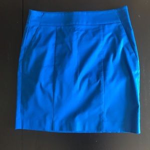 Ann Taylor skirt
